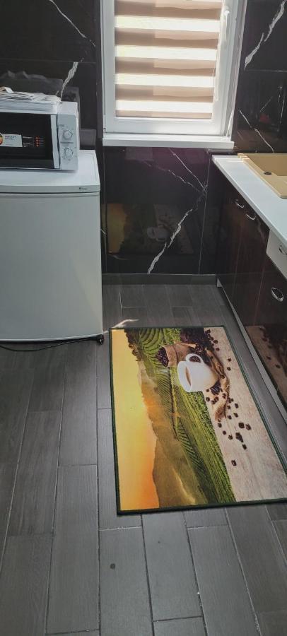 Andi 2-Apartament Băile Herculane Eksteriør bilde